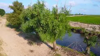 Letea, Delta Dunarii 2020