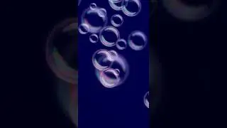 BMRNG II Cantam Boomerang