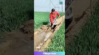 These Women Are Literally Moving Earth and Water to Feed Us! 🤯 My Respect Level is 1000! #farming