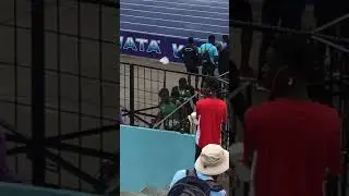 CALABAR 4X100M GIBSON RELAYS 🦁 #CALABARLIFE #SHORTS #GIBSONRELAYS