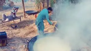 Pinda wala jutt okara 24/2.L
