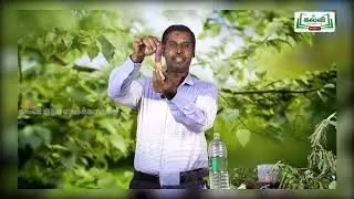 Class 6|வகுப்பு6|அறிவியல் | தாவரங்கள் வாழும் உலகம்| பருவம் 1|  அலகு4| பகுதி1|KalviTv