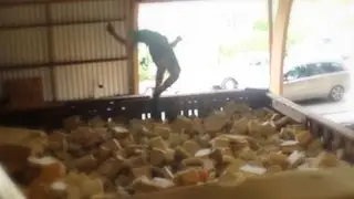Trampolining Into Pit ( Triples, dub 16 & Bio 21)