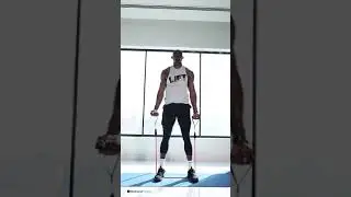 11 Piece Resistance Bands Arm Curl- Squats