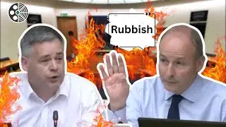 Taoiseach Denies Japan Flight Reroute Was to Catch the Game