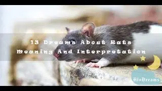 #93 Dreams About Rats  -  Meaning & Interpretation