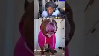 AYOOOOO😭😭😭