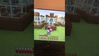 My Minecraft challenge collect every single armour trim