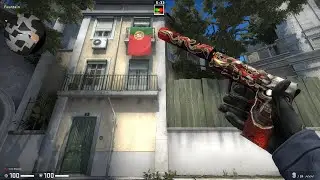 CSGO USP-S Kill Confirmed Field Tested