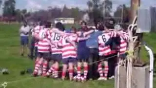 Cowra Eagles Song