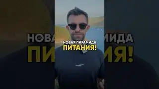 НОВАЯ ПИРАМИДА ПИТАНИЯ #похудение #рационпп #диета #еда #какпохудеть #питание #лишнийвес #пп