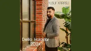 Delilo Halaylar 2024