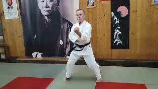 Naihanchi / Naifanchi Shorin ryu karate kata / Sensei Stepin Roman / BUDO ACADEMY 59 / Sept 28, 2025