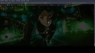 Super Fast Exploit cacti Authenticated RCE