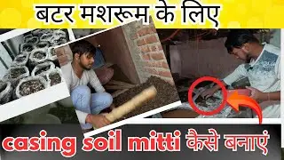 Button Mushroom के लिए Casing Soil कैसे बनाएं | Coco Peat, Cow Dung, Lime, Gypsum की सही Matra