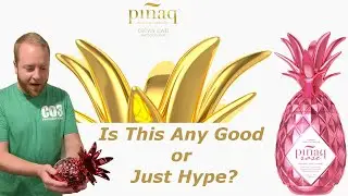 Pinaq Liqueur - Is It Just Hype?