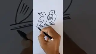 Easy Bird Pair Drawing #shorts #youtubeshorts #birds
