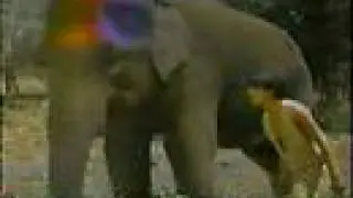 Sajid Khan and Maya elephant