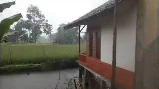 A house over a pond in a village, drenched by heavy rain and continuous thunder #rainsound #rain