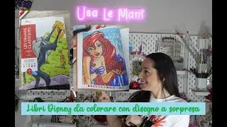 Libri Disney da colorare con disegno a sorpresa