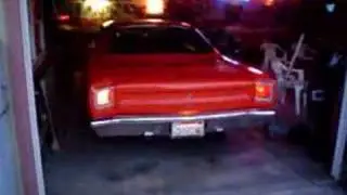 Road Runner Idling, Indy Heads, 2
