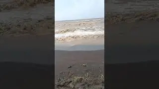#damanbeach