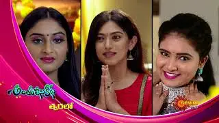 Anthulenikatha - Promo | New Serial | Coming Soon | Gemini TV