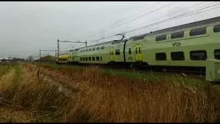 NS 9556.