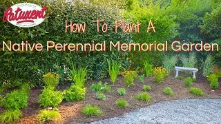 How To Plant A Native Perennial Memorial Garden
