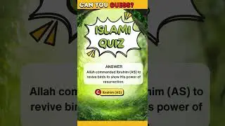 Islamic Quiz| fun islamic quiz |islamic trivia