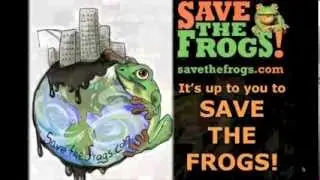 California's Amphibians: SAVE THE FROGS! Academy 2013-August-28