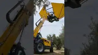 Upside-Down Umbrella Machine Shakes Trees & Catches Falling Fruit! 🍊☂️