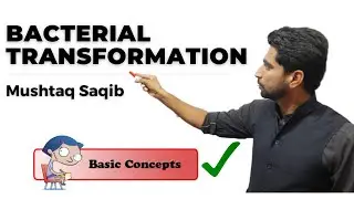 Bacterial Transformation Urdu/Hindi by Mushtaq saqib