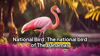 20 Amazing Facts About The Bahamas #20facts #funfacts #youwanttoknow #youdidntknow
