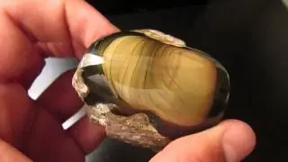 Black Bruneau Jasper Display