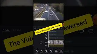 Reverse option in VN editor