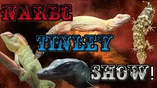 NARBC Tinley Reptile Show! March 2025