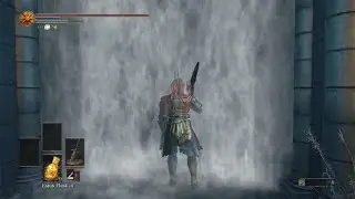Not a one trick!