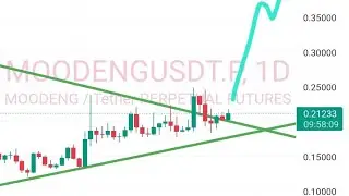 Mog, toshi,  bonk, pengu,  wif, popcat,  pnut and moodeng coin technical analysis and predictions.  