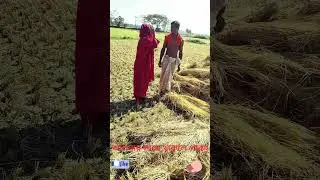 নেওয়ার লোক পাচ্ছিনা #youtube #funny #comedy #funnycomedy 