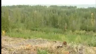 Raven Coal Project Moves Forward
