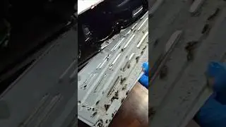 499 Me Cockroach Khatam!🔥