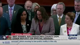 East Texas lawmakers, Nacogdoches County Democratic Chair reflect on special session