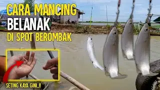 CARA MANCING BELANAK __ DI SPOT BEROMBAK GUNAKAN TRIK INI AGAR MUDAH STRIKE..!!
