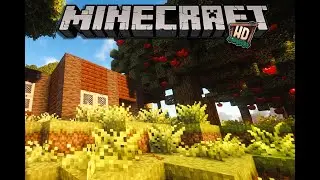 Minecraft | Homestead |  Wir suchen uns ein Abenteuer 🌾 | E09