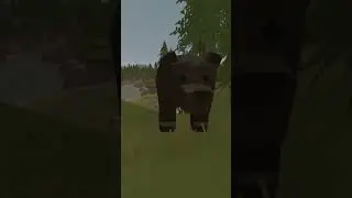 Новые 🦃 Животные на 🇺🇸 Известняке #необработанный #необработанныекончики