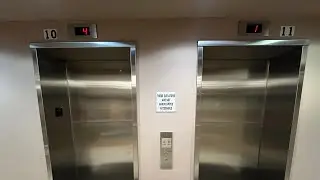 Imperial Glass Traction Elevator At 9 Bond Street In Downtown Brooklyn New York City: (07/20/2024)