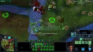 StarCraft 2, Rise Of The Split King: The Bastion Of Silvan Elves!