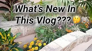 Aj Soldier or police nay area visit kya | What's new in this Vlog??