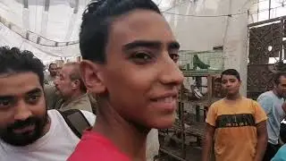 مجموعة قنبل عم وصفي ومحمد العربي وم. محمود.ا.محمود الفاو اسمع واحكم بنفسك